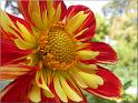 Parc floral 020